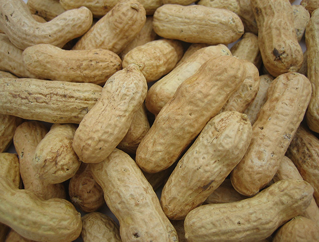 Canary mixture