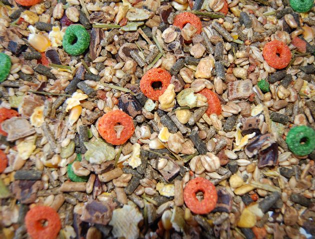 Canary mixture
