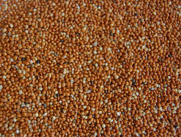 Canary mixture