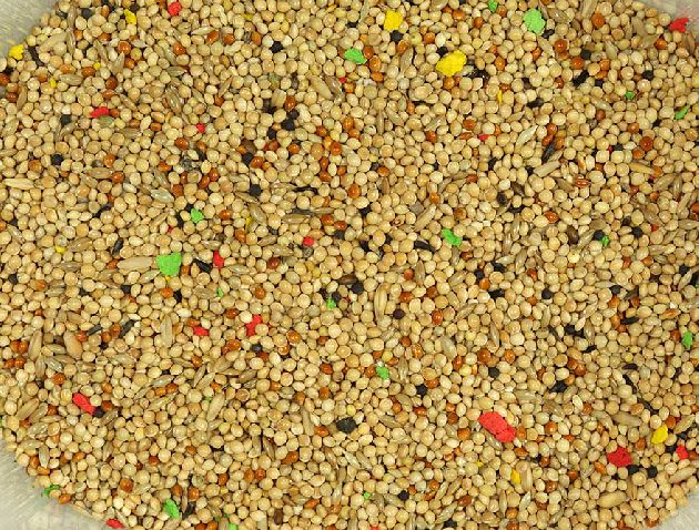 Canary mixture