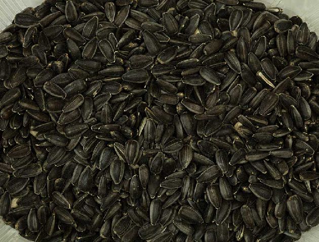 Canary mixture