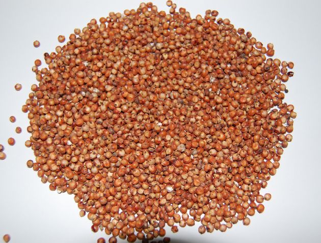 Canary mixture